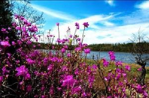 興安國家森林公園