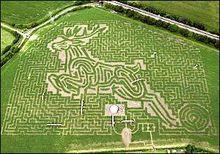 迷宮中央被剃成一隻梅花鹿