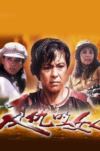 復仇的女人 復仇的女人