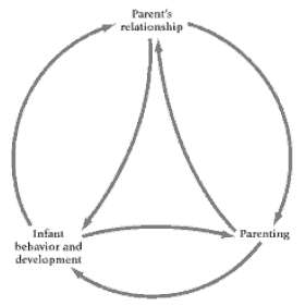 圖3 家庭社會系統模型