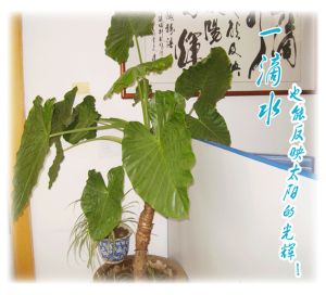 北京市一滴水環保科技有限公司 北京市一滴水環保科技有限公司