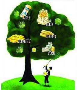 配置基金 配置基金