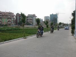 燒灰村[福建省晉江市龍湖鎮燒灰村]