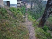 吳家箐自然村 吳家箐自然村