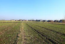 鹽城市鹽都區自然風景2高清大圖