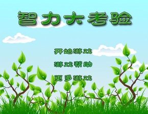 智力大考驗 智力大考驗