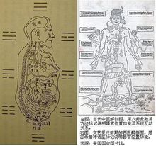 西醫解剖學研究