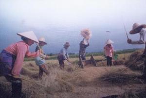 西雙版納納版河流域自然保護區