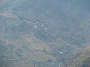 背陰村[雲南省楚雄市三街鎮下轄村]