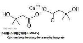 β-羥基-β-甲基丁酸鈣(HMB-Ca) β-羥基-β-甲基丁酸鈣(HMB-Ca)