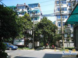 采荷翠柳 采荷翠柳