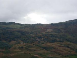 芒回拉祜寨自然村 芒回拉祜寨自然村