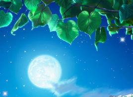 夏夜晚風[伍佰演演唱的歌曲夏夜晚風]