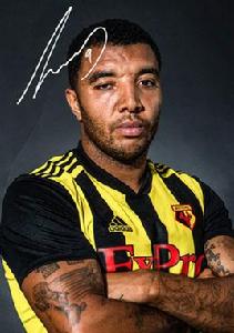 特羅伊·迪尼 特羅伊·迪尼