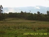 洞門坡自然村山地