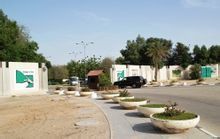 多哈動物園 多哈動物園