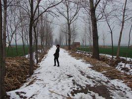 無量寺鄉 無量寺鄉