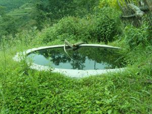 基咪作村 基咪作村