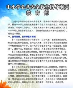 中國小公共安全教育指導綱要 中國小公共安全教育指導綱要
