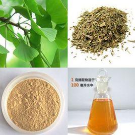 銀杏黃酮 銀杏黃酮