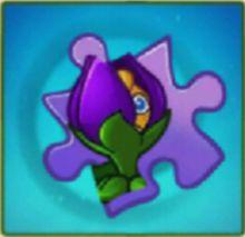 縮小紫羅蘭碎片及其簡介