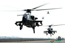 陸航武直-10編隊