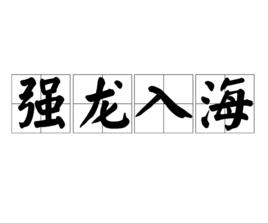 強龍入海 強龍入海