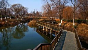 七橋瓮生態濕地公園 七橋瓮生態濕地公園