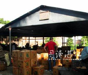 已經裝箱的火龍果