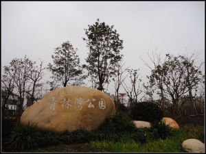 青林灣公園 青林灣公園