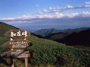 利尻禮文佐呂別國立公園