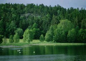 東洞庭湖自然保護區