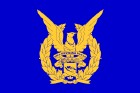 印度尼西亞空軍 印度尼西亞空軍