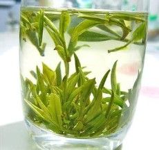 蘭溪毛峰茶 蘭溪毛峰茶