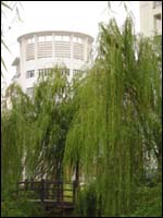 上海邦德學院