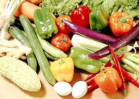 食物療法 食物療法