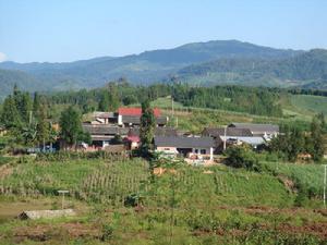 雷寨自然村 雷寨自然村