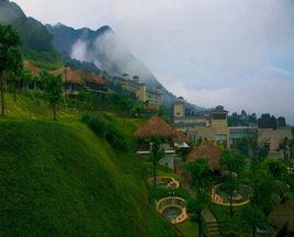 增城金葉子溫泉酒店 增城金葉子溫泉酒店