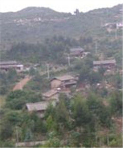 大洞自然村 大洞自然村