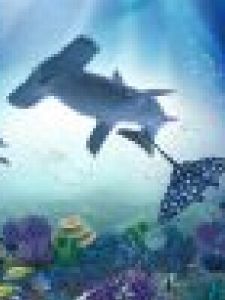 捕魚達人之深海狩獵[PC平台休閒遊戲]