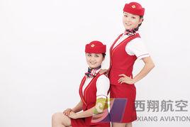 西翔航空 西翔航空