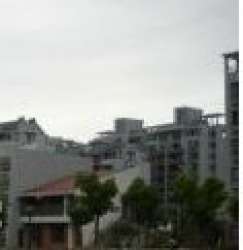 明珠花苑崇明 明珠花苑崇明