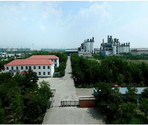 寧夏賽馬實業股份有限公司 寧夏賽馬實業股份有限公司