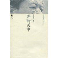 俯仰關中 俯仰關中