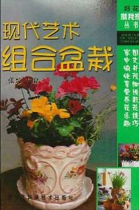 《現代藝術組合盆栽》