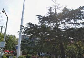 白玉山街道 白玉山街道