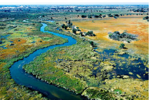 奧卡萬戈三角洲