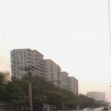 湘鄉情酒家 湘鄉情酒家