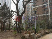 阿爾卡迪亞小區實景