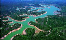 金龍湖[廣東省肇慶市金龍湖]